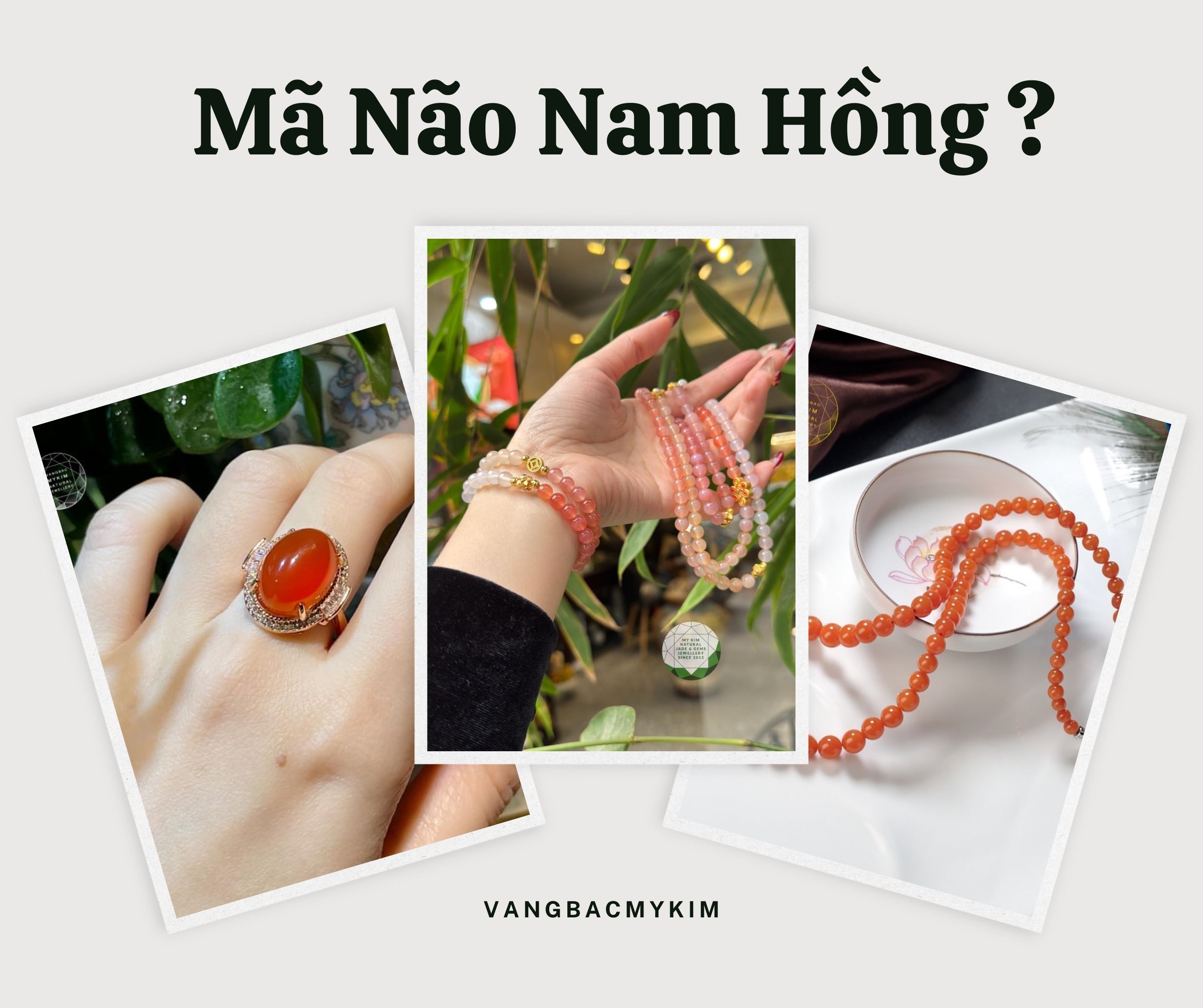 ✨ Mã Não Nam Hồng – Biểu tượng của sự May Mắn - Thịnh Vượng🌟💎