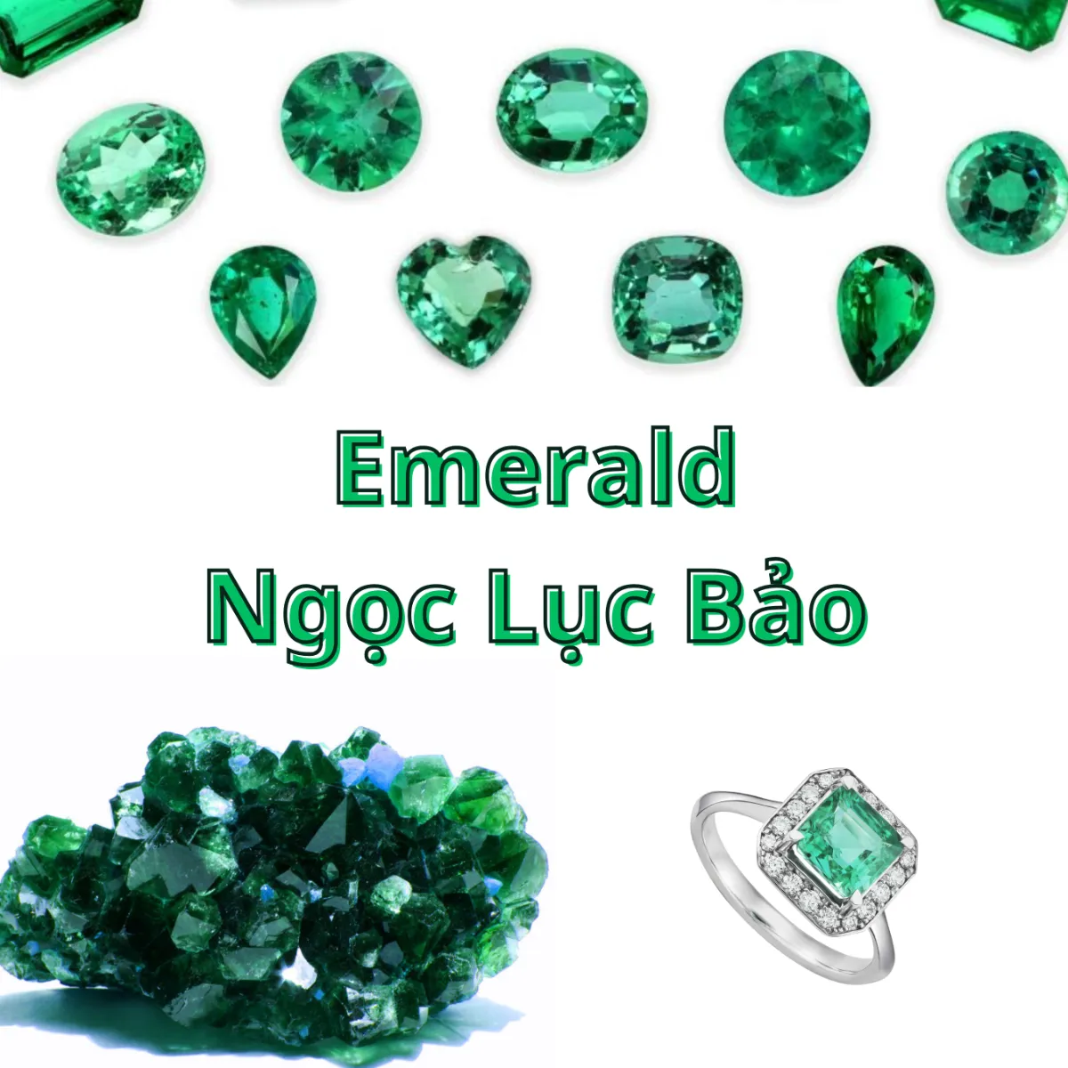 💚 Đá Lục Bảo Emerald – Viên Ngọc Xanh Của Sự Thanh Khiết và Tinh Tế