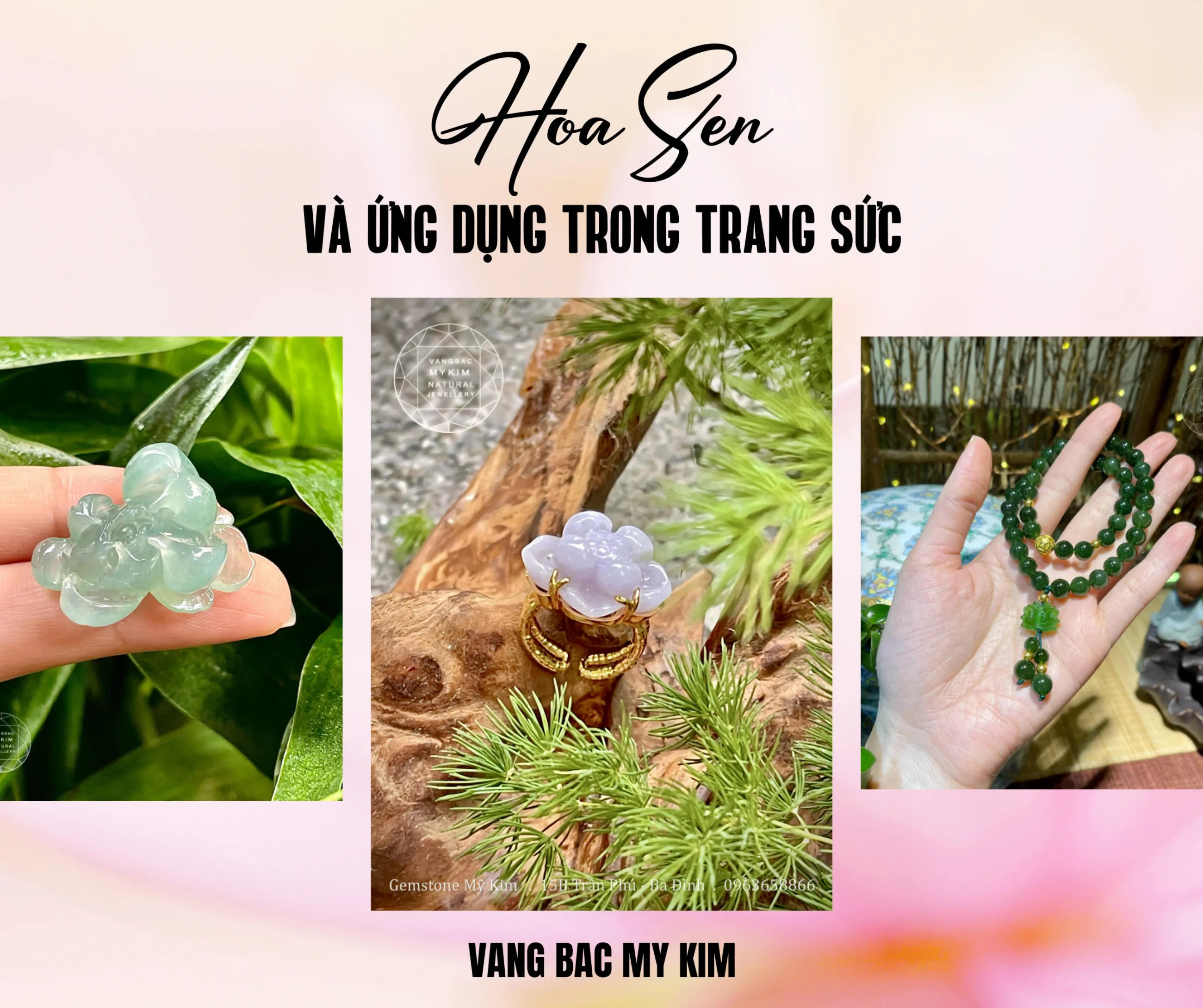 🌸 HOA SEN BIỂU TƯỢNG CỦA TÂM HỒN THANH TỊNH 🌸