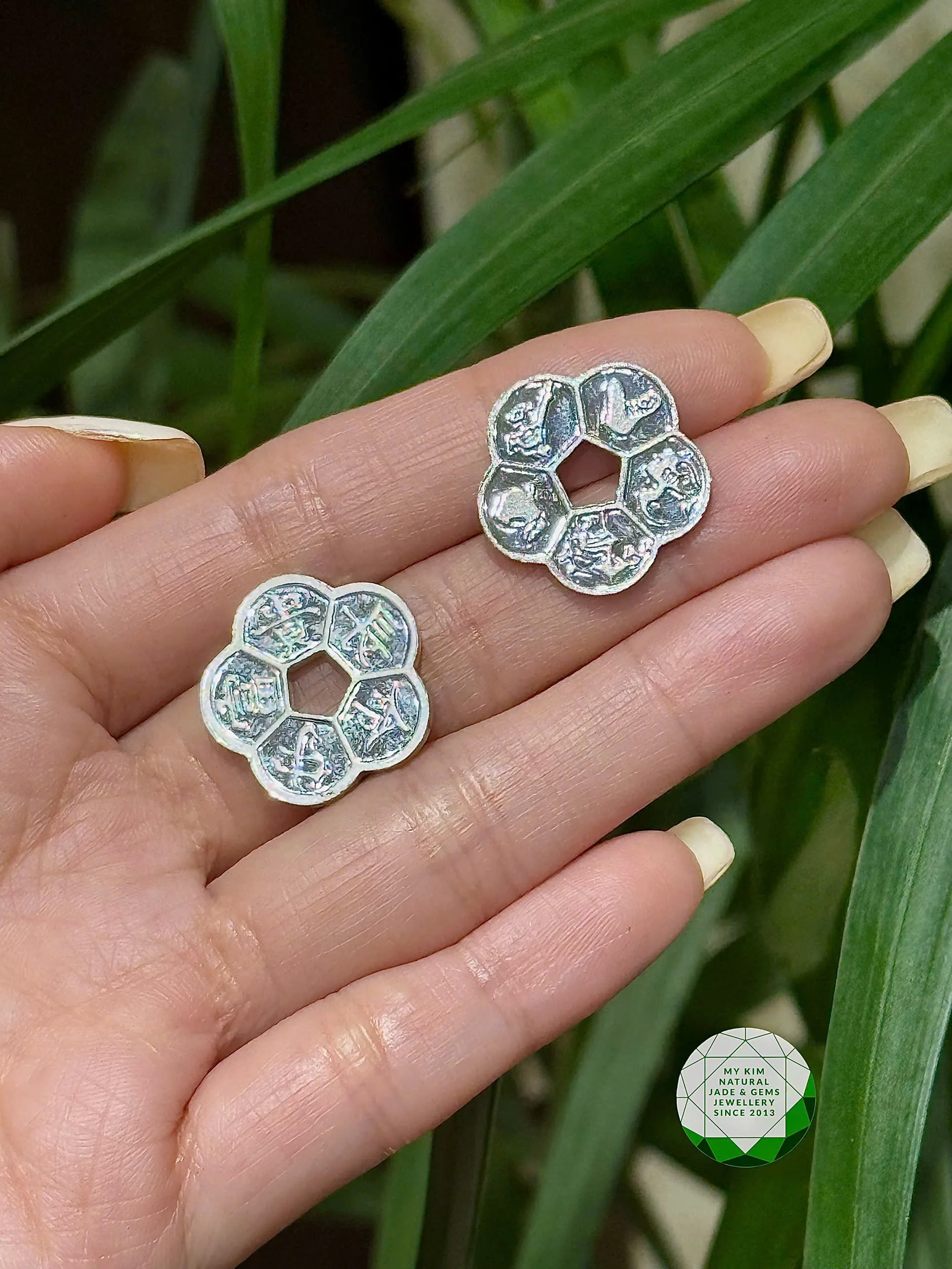 ĐỒNG TIỀN HOA MAI