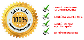 Chế Độ Bảo Hành