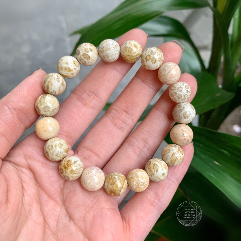 Vòng Đá San Hô Hóa Thạch  – Vẻ Đẹp Tự Nhiên Thanh Khiết & Mộc Mạc