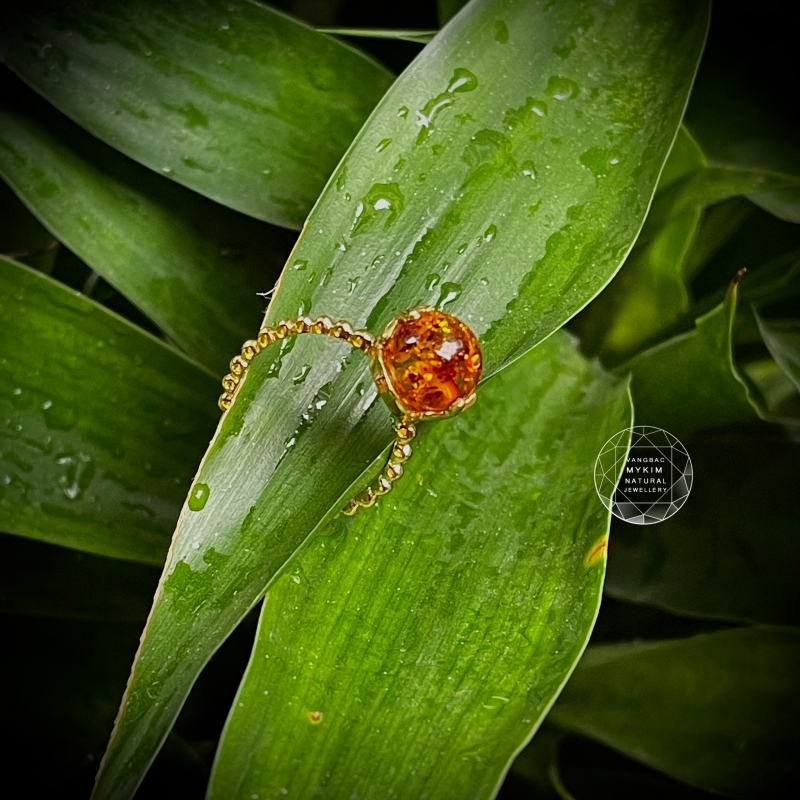 Nhẫn Hổ Phách Ong Baltic  – Vàng 10k, 14k, 18k Thiết Kế Tinh Tế Nhẹ Nhàng